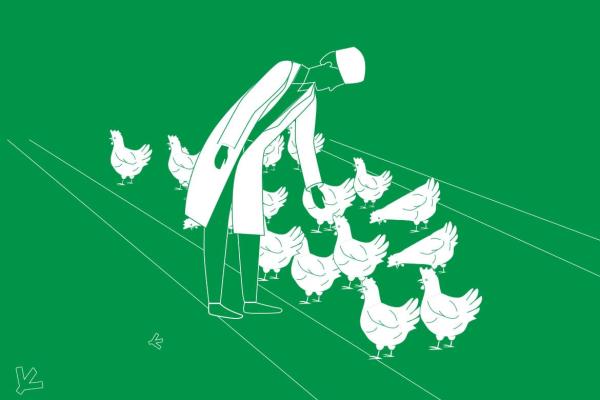 EPIKUR | 2D ANTIBIOTIC-FREE CHICKEN EXPLAINER