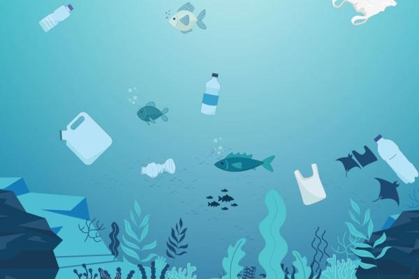 KLO ECO-BAG | 2D ENVIRONMENTAL EXPLAINER